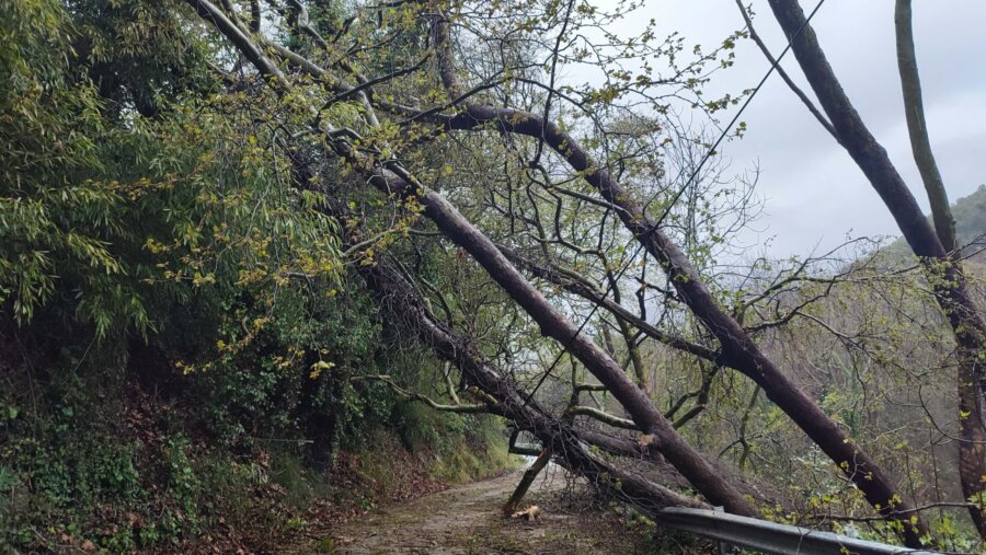 658865903-1606699600398862-4284483008395813930-n