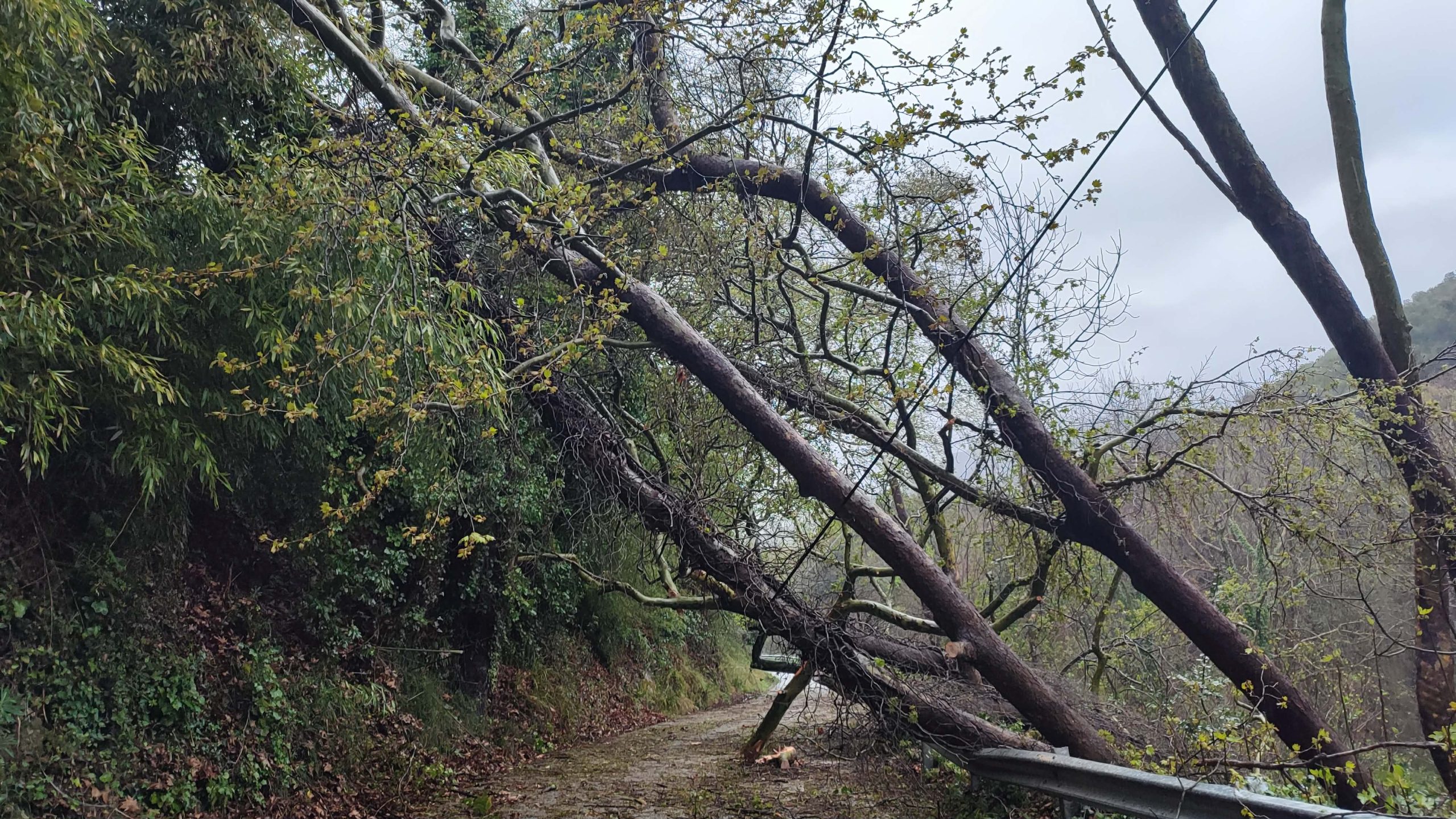 658865903-1606699600398862-4284483008395813930-n