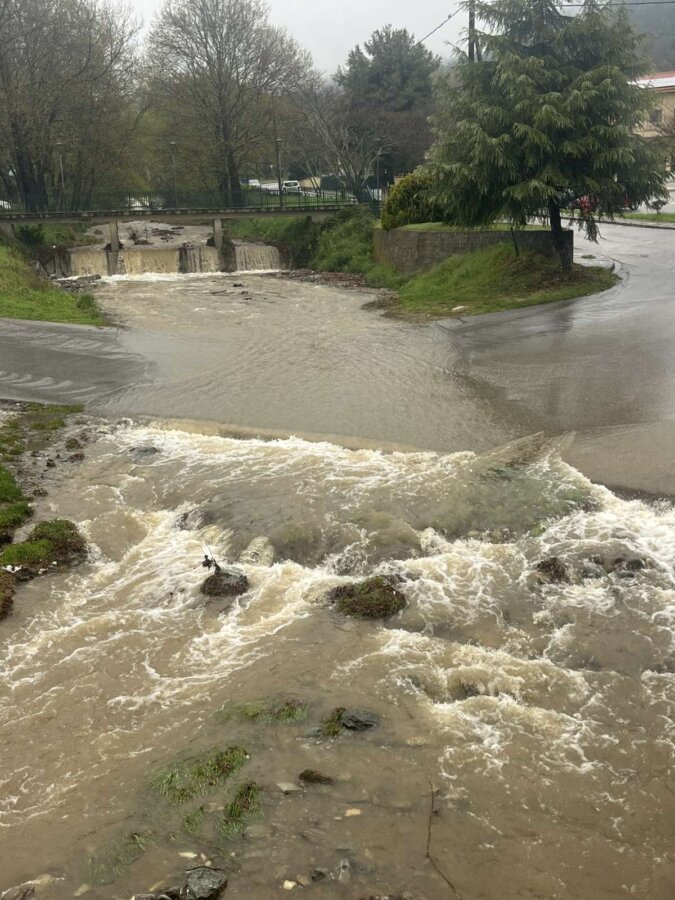 agia-irlandiki-diavasi