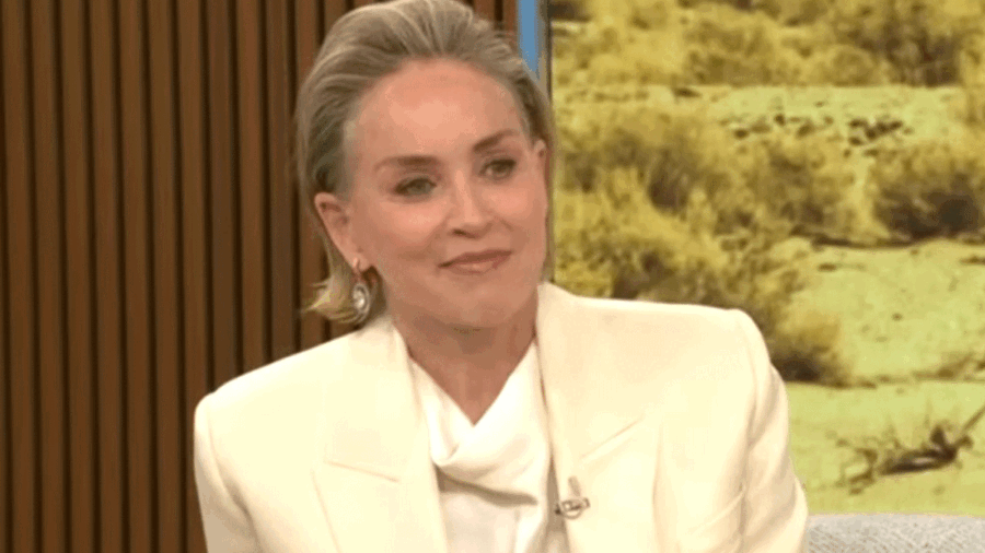 Σάρον Στόουν: Οι ερωτικές σκηνές και το τίμημα στην προσωπική της ζωή