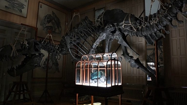 Τσάντα από καλλιεργημένο δέρμα… τυραννόσαυρου βγαίνει σε δημοπρασία στο Άμστερνταμ