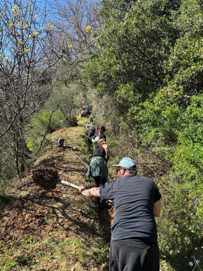 658752841-1240621351572084-5953792406693908971-n