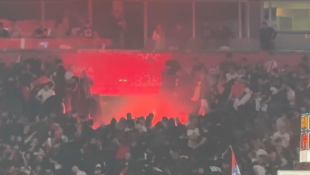 Καρκίνος: Το ελληνικό «δέντρο του θανάτου» είναι πηγή ζωής