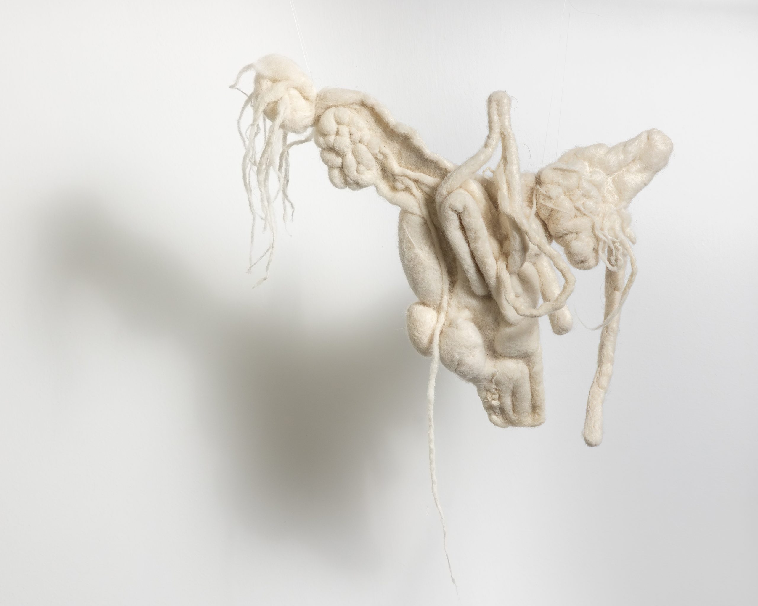 204087f6-013a-48d4-8b1e-76391fd6dba6