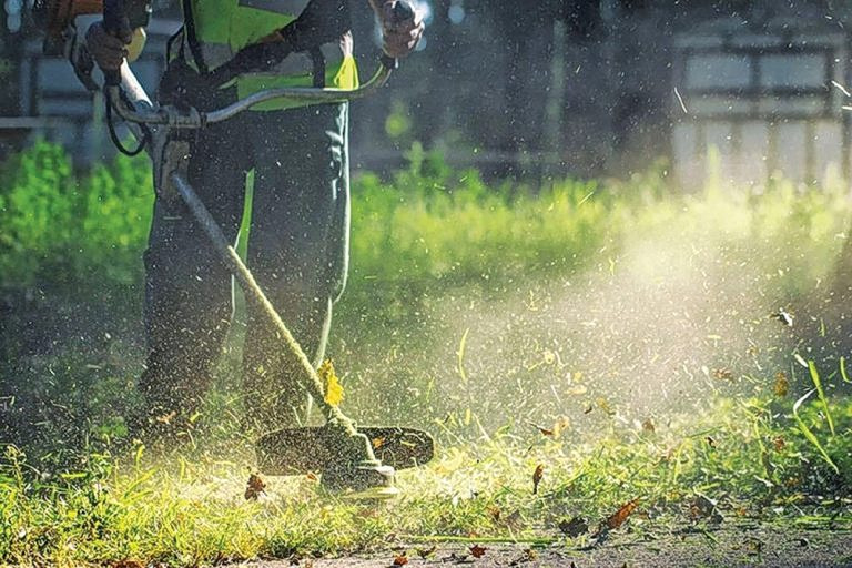 Ακαθάριστα οικόπεδα: Άνοιξε η πλατφόρμα – Πρόστιμα αν δεν δηλώσετε