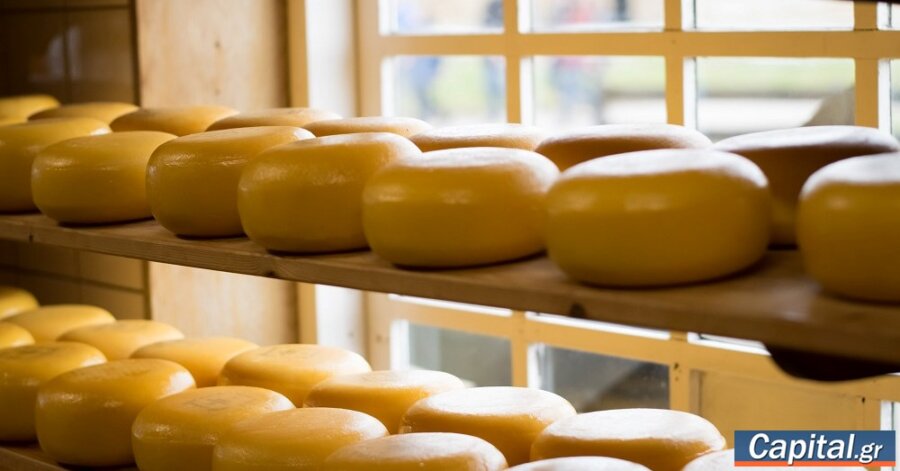 Σε απόλυτη οικονομική ασφυξία οι τυροκόμοι της Λέσβου λόγω της απαγόρευσης...