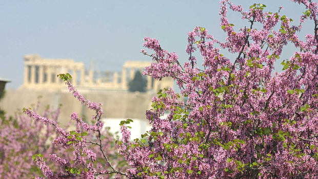 Ανοιξιάτικος καιρός τη Μεγάλη Τρίτη με άνοδο της θερμοκρασίας - Η πρόγνωση για τις επόμενες μέρες