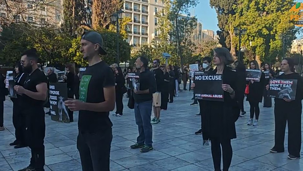 «Μπορούμε να γιορτάσουμε το Πάσχα χωρίς να σκοτώνουμε» - Νέα δράση από vegans στο Σύνταγμα
