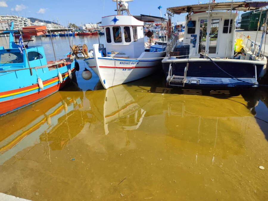 eikona-viber-2026-04-06-16-50-20-349