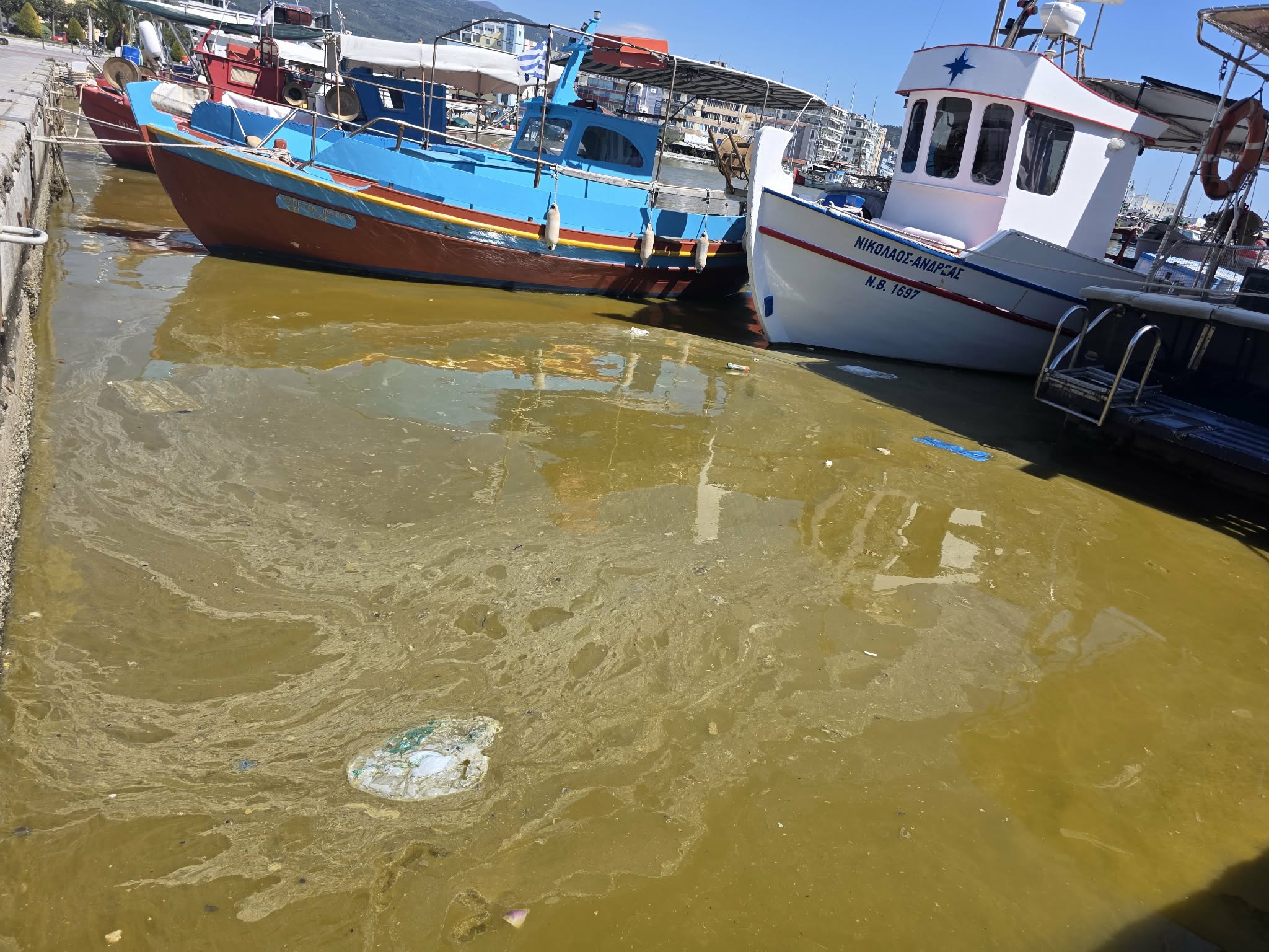 02218b17-62a8-479b-bf6c-e4f7dfe9d978