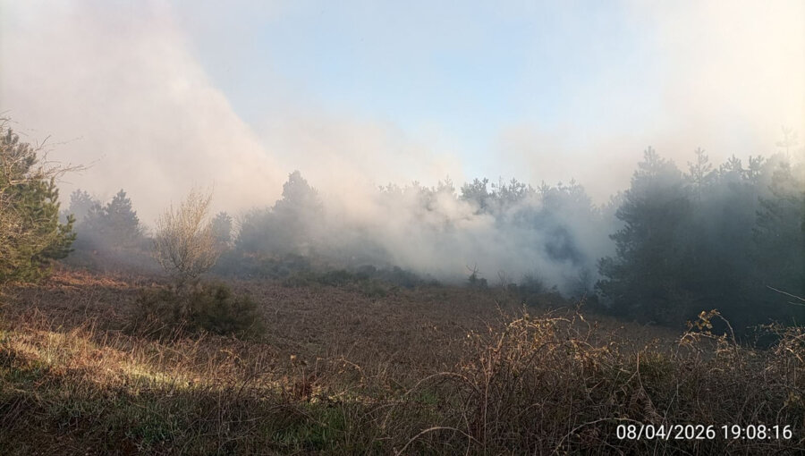 Φωτιά στον Πάρνωνα - Επιχειρούν ισχυρές πυροσβεστικές δυνάμεις