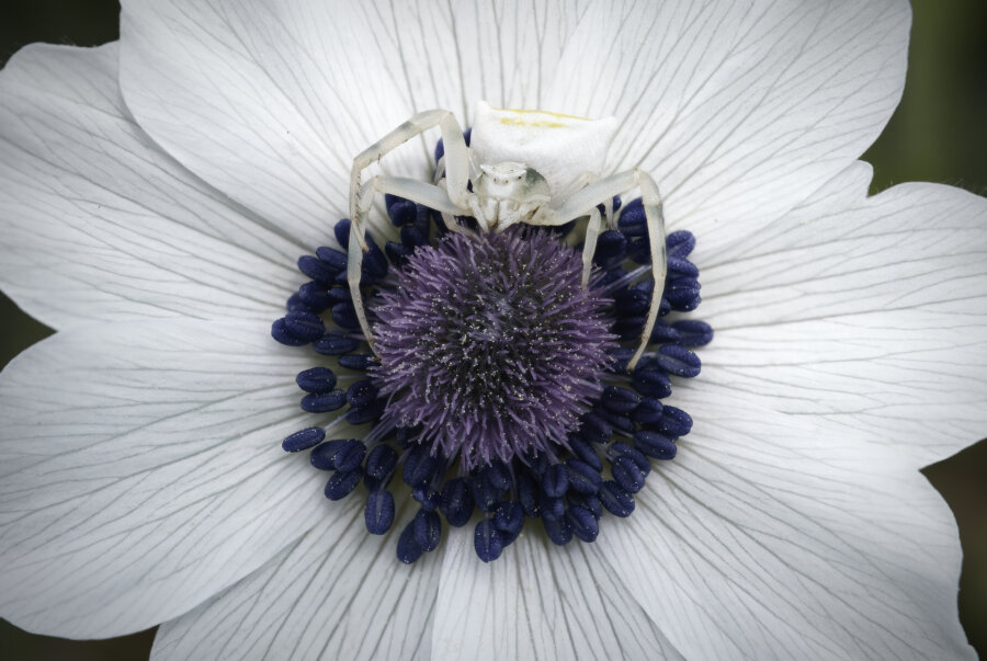 2023-04-26 12-53-44 (17 images)