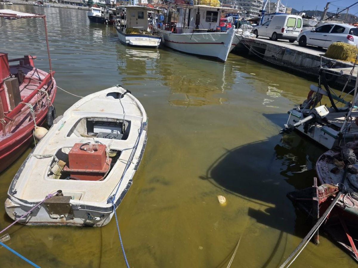 f03db1c2-cfd5-4c5e-8265-c15156e38285-1024x768