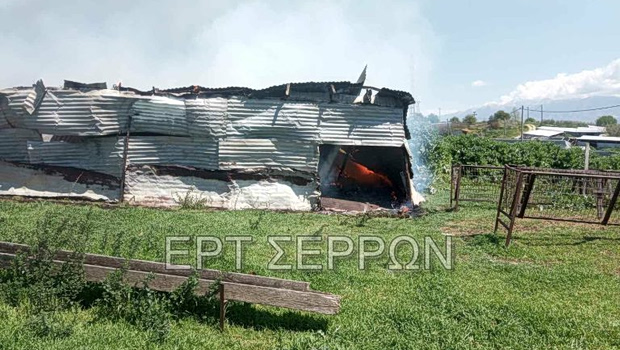 Σέρρες: Φωτιά σε ποιμνιοστάσιο στα Ίβηρα - Κάηκαν έντεκα πρόβατα