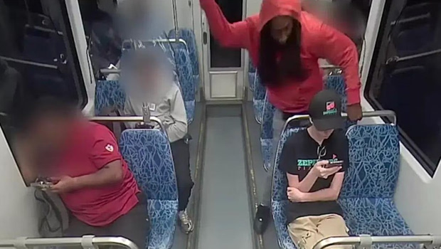 Ψυχικά ανίκανος να δικαστεί ο άνθρωπος που δολοφόνησε Ουκρανή σε τρένο των ΗΠΑ