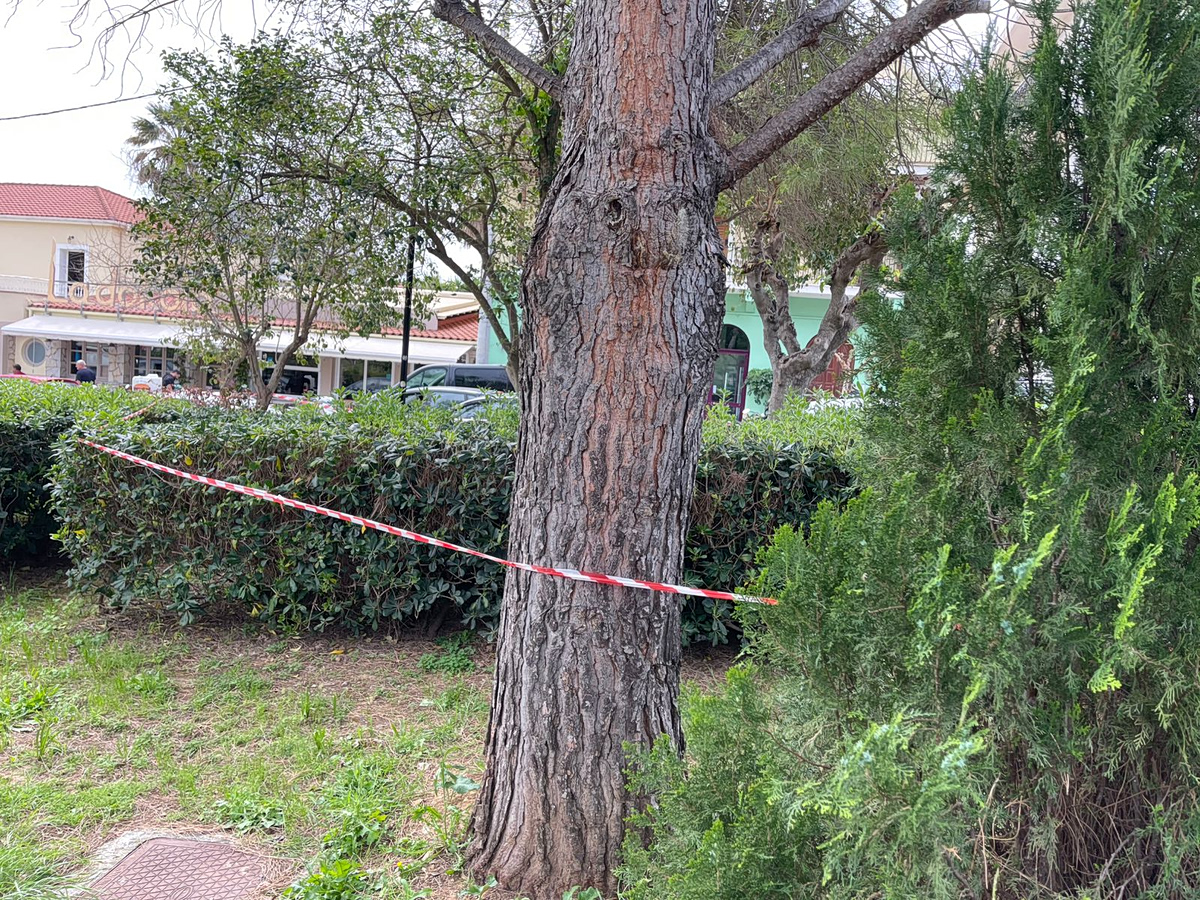 Κεφαλονιά: Τρίτη σύλληψη για τον θάνατο της 19χρονης στο Αργοστόλι - Τι ισχυρίζονται οι τρεις συλληφθέντες