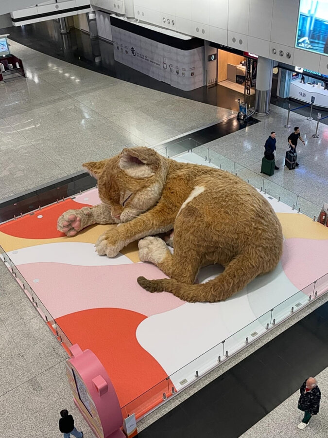 Εντυπωσιακή γιγαντιαία γάτα 8 μέτρων στο αεροδρόμιο του Χονγκ Κονγκ – Γουργουρίζει, κουνά ουρά και αυτιά