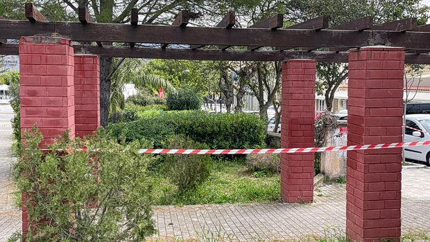 Κεφαλονιά: Τα σκοτεινά σημεία γύρω από τον θάνατο της 19χρονης - Απολογούνται την Παρασκευή οι τρεις νεαροί