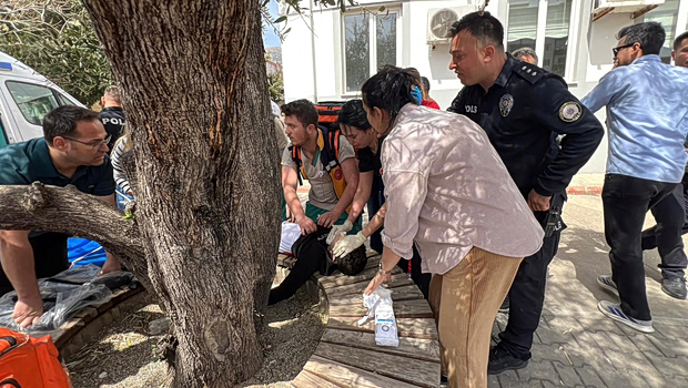 Τουρκία: «Ζω γιατί η σφαίρα χτύπησε φίλη μου που ήταν μπροστά» - Νωπός ο εφιάλτης από την επίθεση σε σχολείο