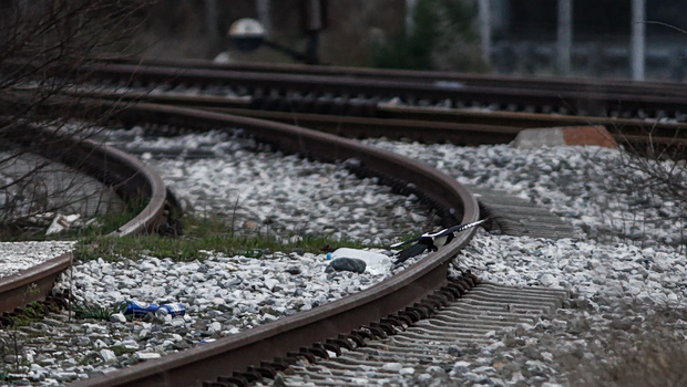 Ακινητοποιήθηκε τρένο στη γραμμή Θεσσαλονίκη - Έδεσσα λόγω πτώσης δέντρου