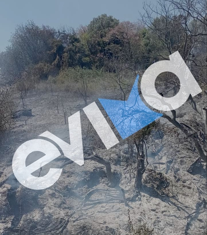 Εύβοια: Συνελήφθη 56χρονος για φωτιά στα Πλατάνα