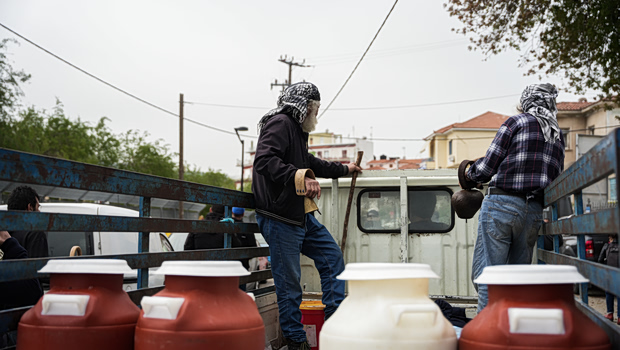 Λέσβος: Σε τροχιά σύγκρουσης οι κτηνοτρόφοι στον Μεσότοπο - «Δεν δεχόμαστε να πίνουμε νερό με το αίμα των σφαγμένων ζώων μας»