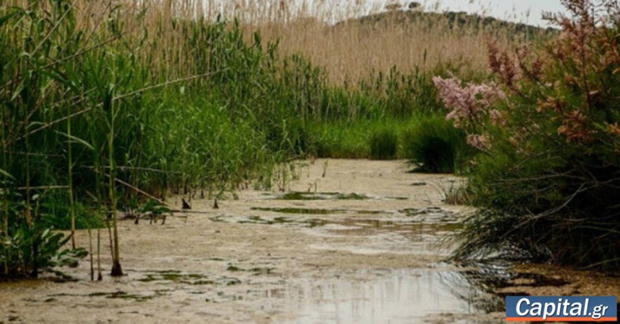 Ισορροπία ανάπτυξης και προστασίας σε περιοχές Natura 2000