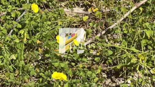 Κρήτη: Εξαφάνιση 43χρονης - Τα πρώτα ευρήματα από τις έρευνες