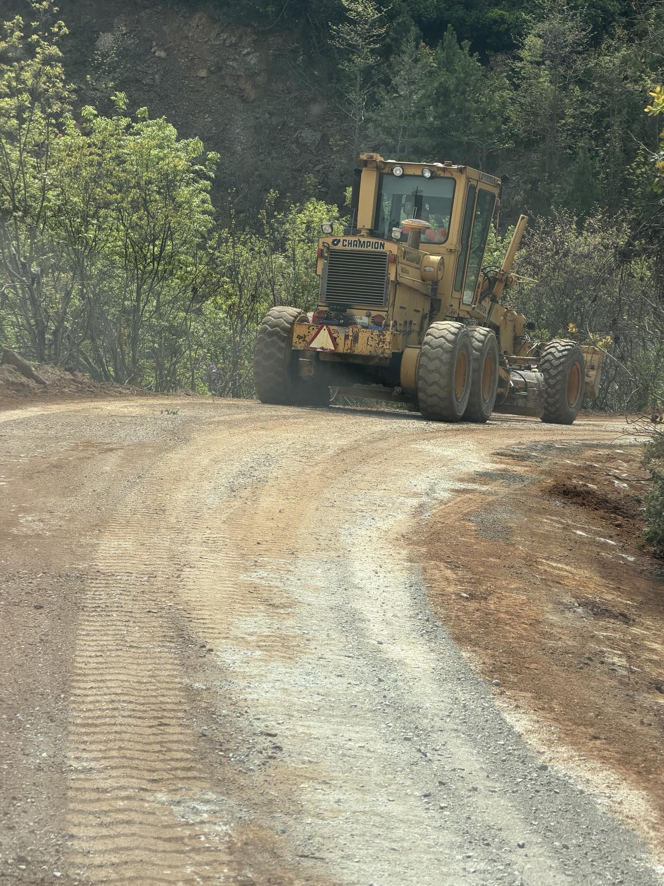 dromos-skotina-ano-skotina