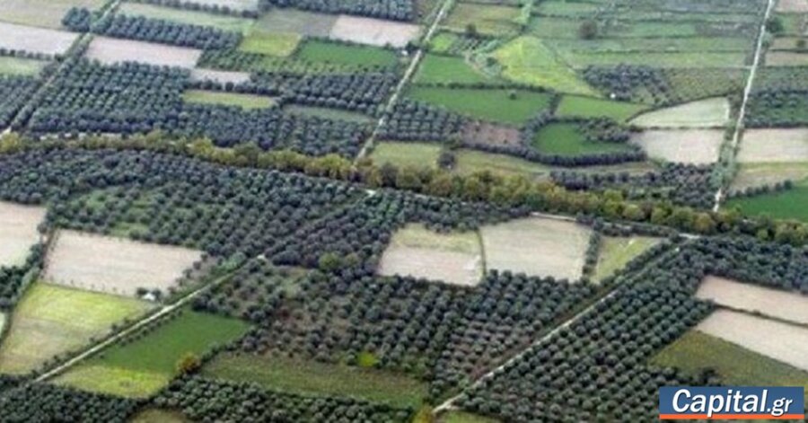 Με αλλαγές για τα πρόστιμα η ΚΥΑ για τον καθαρισμό οικοπέδων