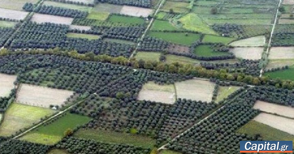 Με αλλαγές για τα πρόστιμα η ΚΥΑ για τον καθαρισμό οικοπέδων