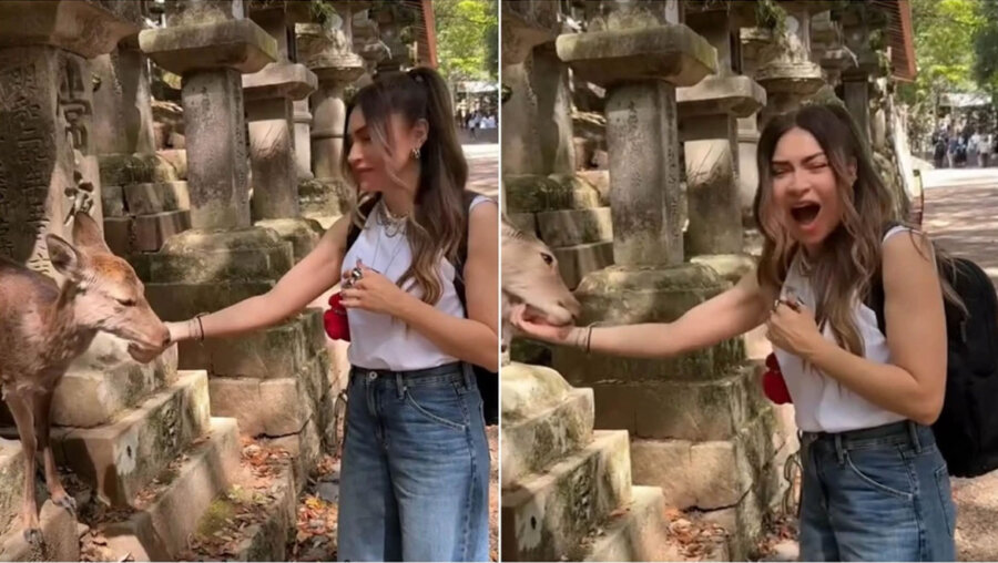 Αποστολία Ζώη: H ιδιαίτερη στιγμή που έζησε με ελάφι στην Ιαπωνία