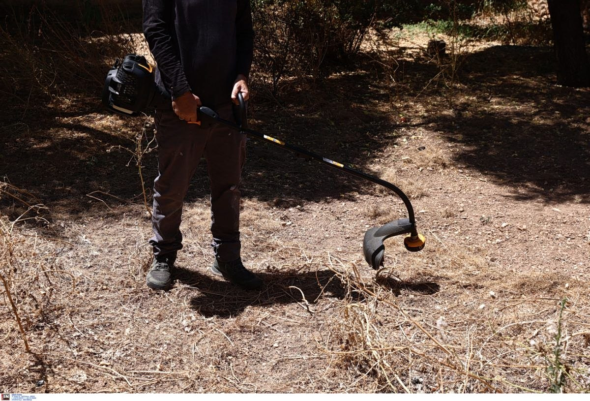 Ακαθάριστα οικόπεδα: Δημοσιεύθηκε η ΚΥΑ - Προθεσμία, πρόστιμα και έλεγχοι - Οικονομικός Ταχυδρόμος