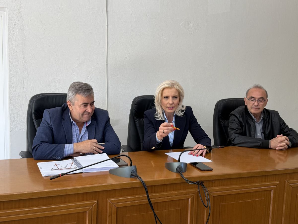 1-karalariotou-dimos-pylis