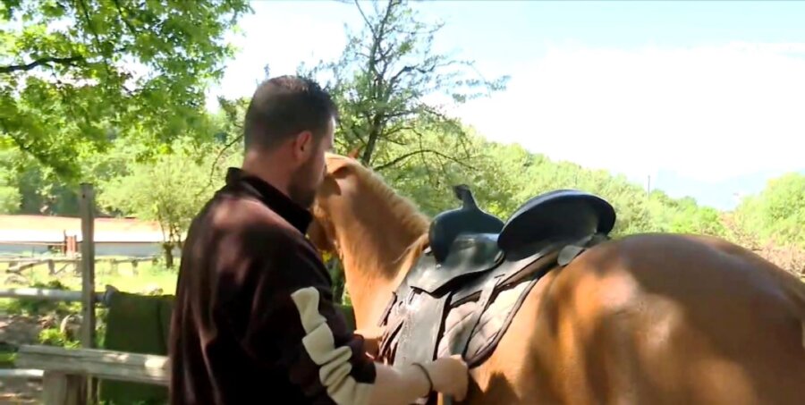 Ανακαλύπτοντας τις ομορφιές των Μετεώρων με άλογο