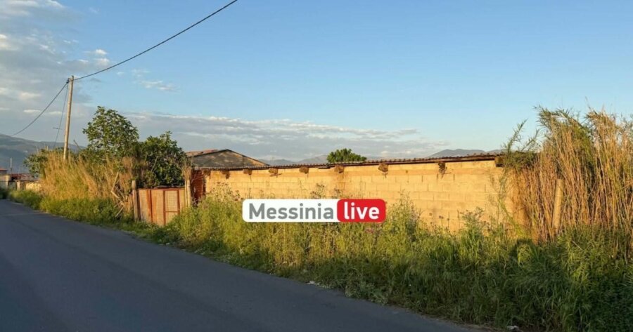 Καλαμάτα: Έρευνες για την «εκτέλεση» άντρα σε στάβλο - Γνωστό στις Αρχές για ναρκωτικά το θύμα