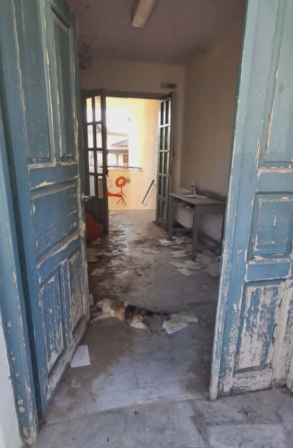 d8aa2121-d5c7-4cf9-a843-3da3d4121534