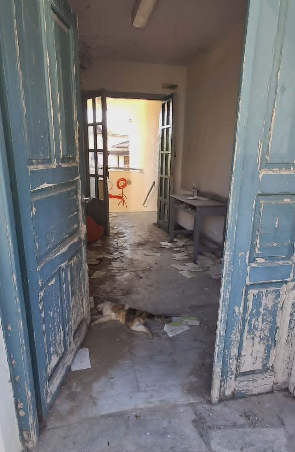 d8aa2121-d5c7-4cf9-a843-3da3d4121534