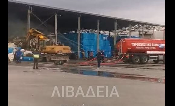 Φωτιά σε εργοστάσιο βάμβακος στη Λιβαδειά
