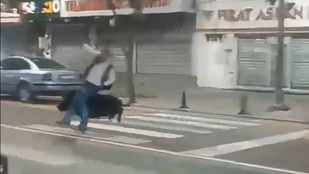 Τουρκία: Αγριογούρουνο έτρεχε σε πολυσύχναστο δρόμο - Τραυμάτισε τρία άτομα