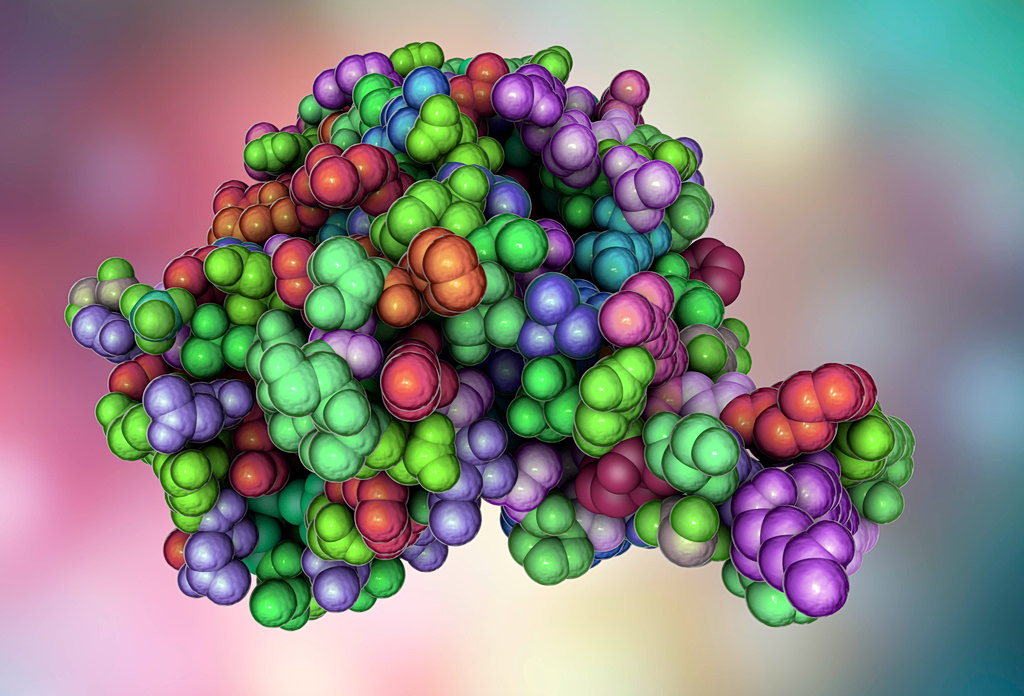 Hantavirus