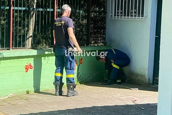 Θεσσαλονίκη: Φίδια εμφανίστηκαν σε νηπιαγωγείο - Ανήσυχοι οι γονείς