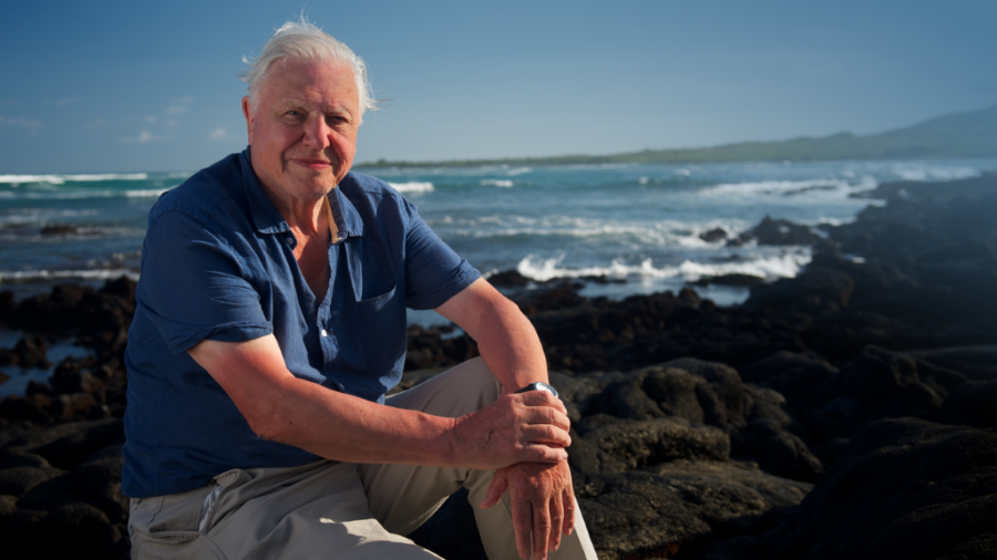 sir attenborough