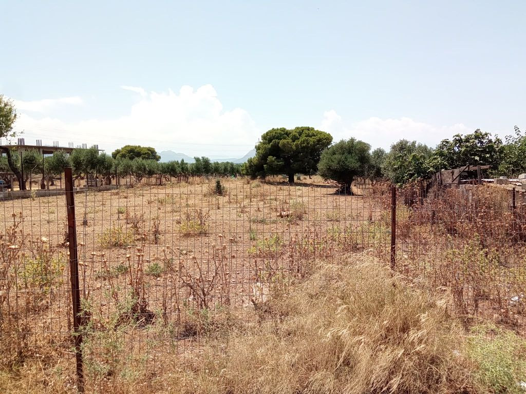 Ακαθάριστα οικόπεδα: Τα SOS για καθαρισμό, δήλωση και πρόστιμα
