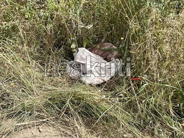 Ηράκλειο: Το σημείο που βρέθηκε αιμόφυρτη η 28χρονη μητέρα - Τι λέει αυτόπτης μάρτυρας