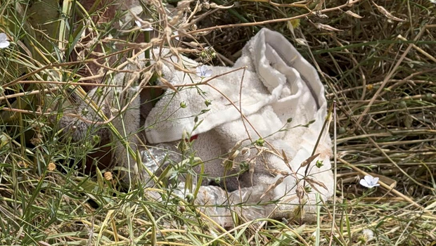 «Την πέταξε από το αμάξι και μετά την τράκαρε» - Τι λέει η αδελφή της 28χρονης που βρέθηκε αιμόφυρτη στο Ηράκλειο