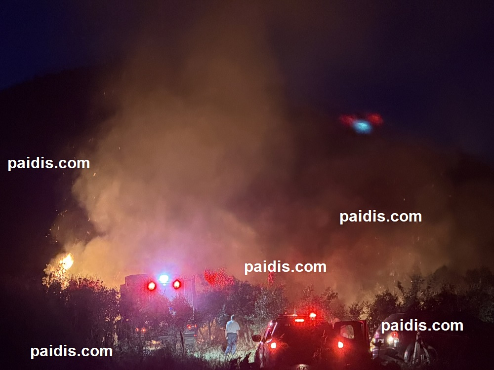 Τύρναβος: Φωτιά σε ελαιόδεντρα στη Ροδιά