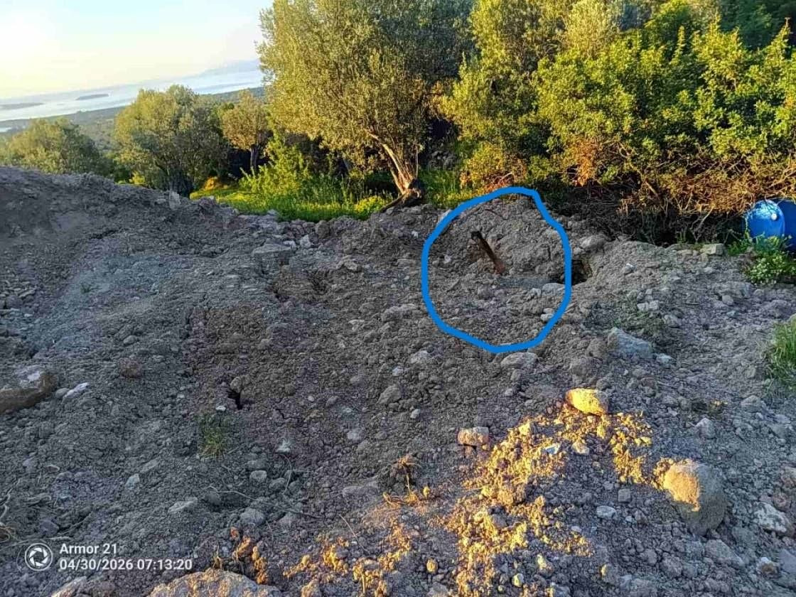 Αφθώδης πυρετός στη Λέσβο: Προανάκριση για τις ανεξέλεγκτες ταφές ζώων - «Κανένας δεν έδινε σημασία πριν από δύο μήνες»