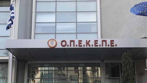 ΟΠΕΚΕΠΕ: Ελεύθεροι μετά την απολογία τους οι πρώτοι 7 από τους 17 συλληφθέντες από τη Θεσσαλονίκη