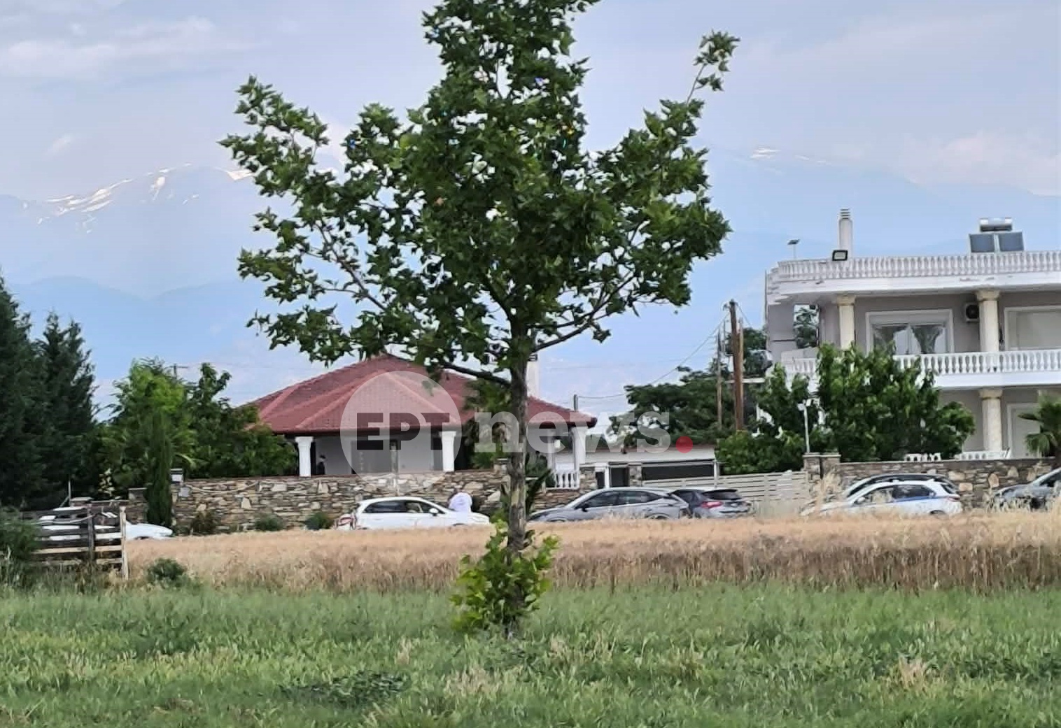 larisa-roma-apati-1